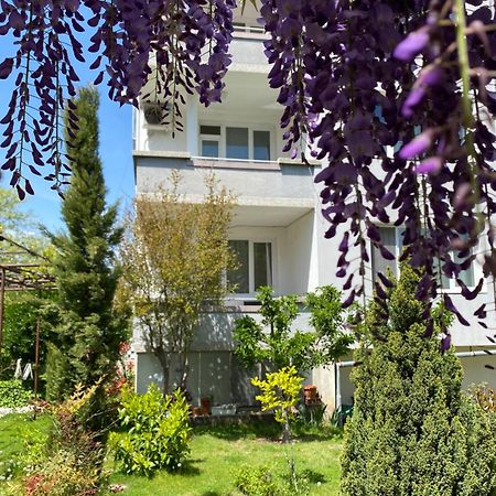 Family Hotel "May" ペトリチ エクステリア 写真